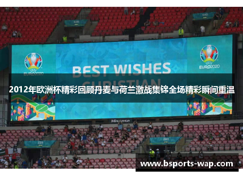 2012年欧洲杯精彩回顾丹麦与荷兰激战集锦全场精彩瞬间重温